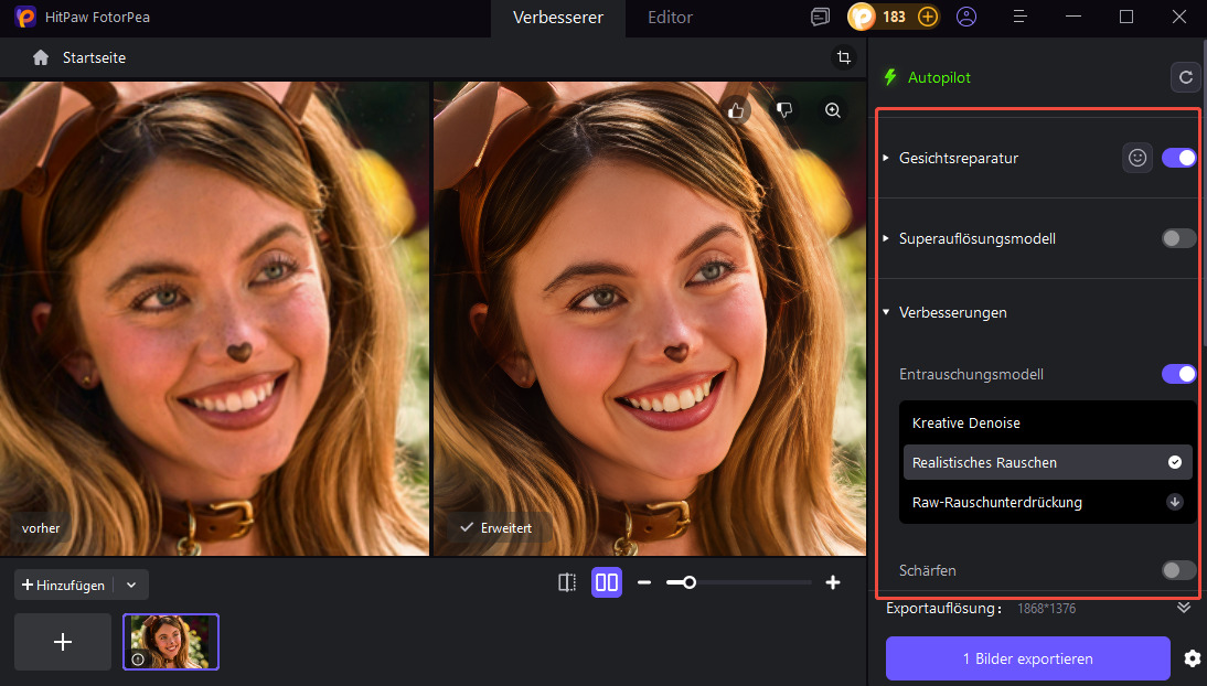 Euphoria Bildqualität verbessern AI Modell Auswahl