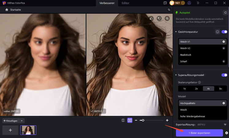 Ein fast perfekter Antrag