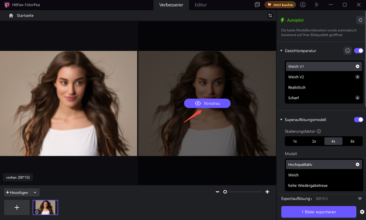 Ein fast perfekter Antrag