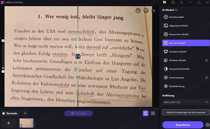 vorschau und export in hitpaw fotorpea