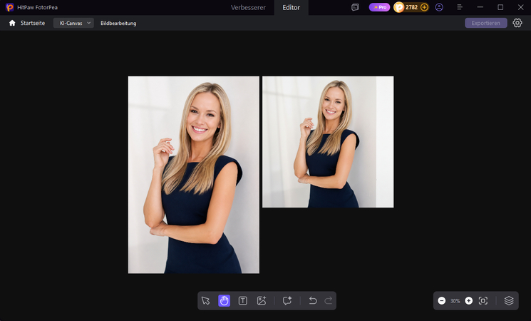FotorPea export settings dialog with format and DPI resolution options