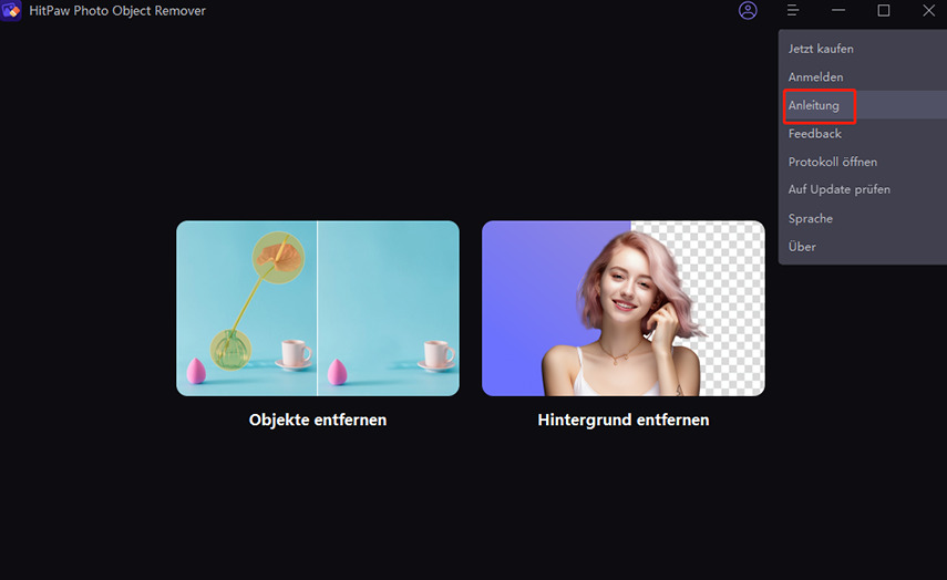check user guide in HitPaw photo object remover