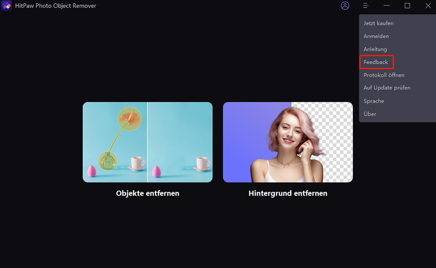 feedback in HitPaw photo object remover