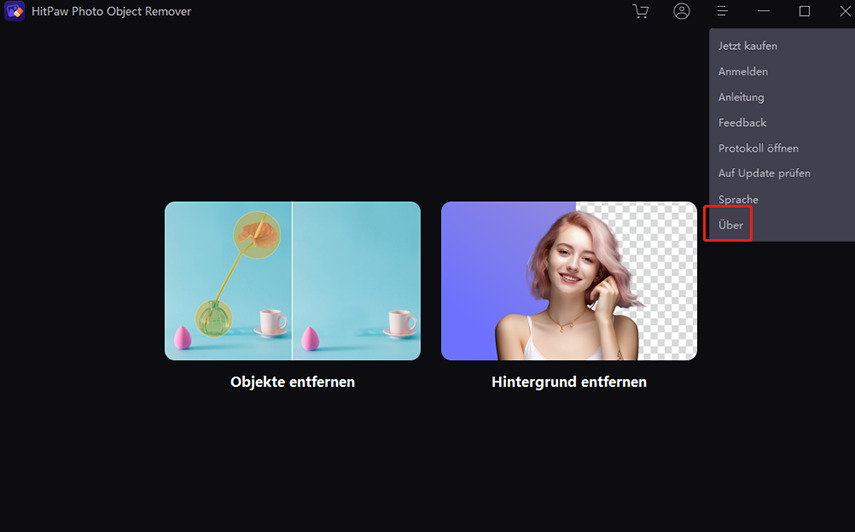 check information in HitPaw photo object remover