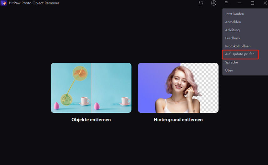 HitPaw Photo object remover update