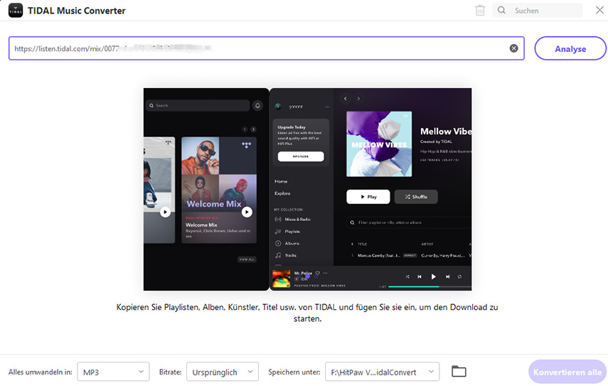 TIDAL-Link einfügen und analysieren