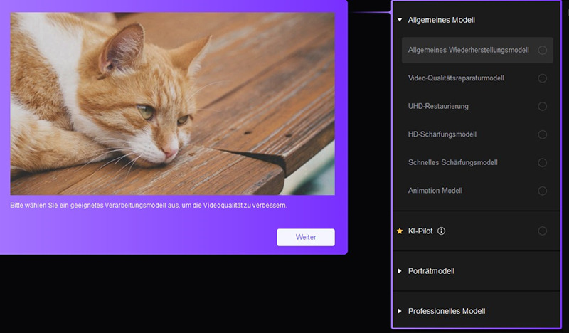 hitpaw vikpea allgemeines modell