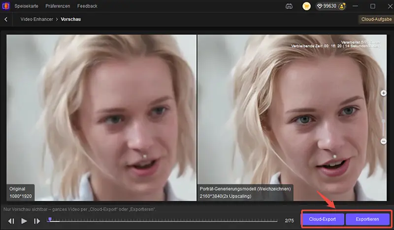 Video exportieren HitPaw VikPea