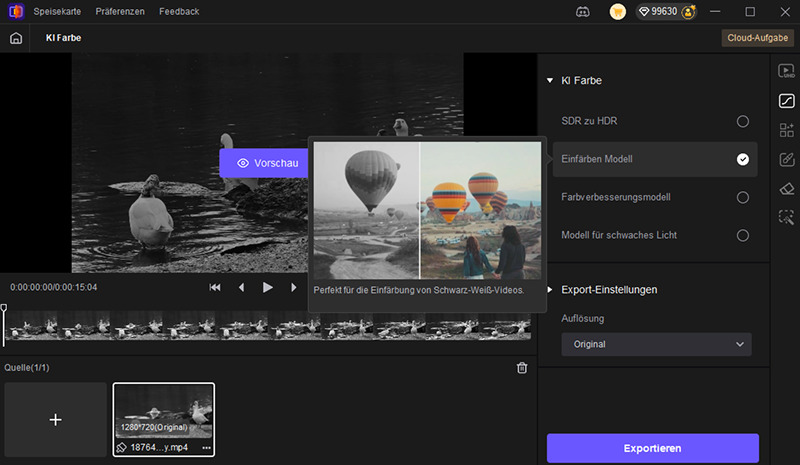 video colorizer