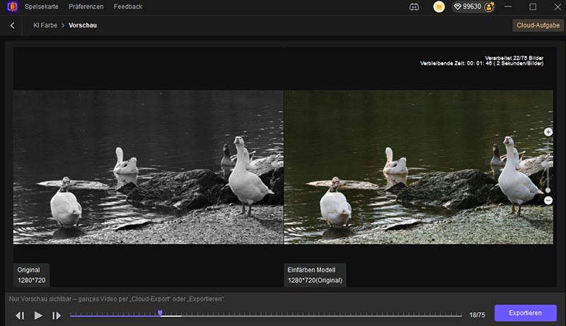 video colorizer