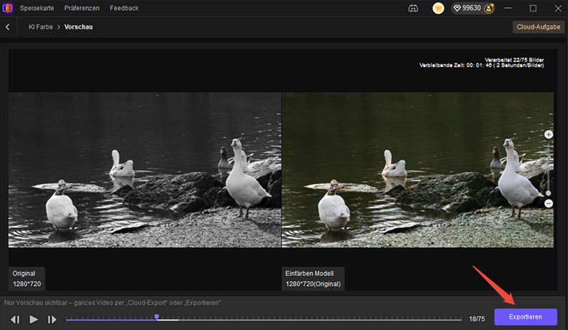 video colorizer