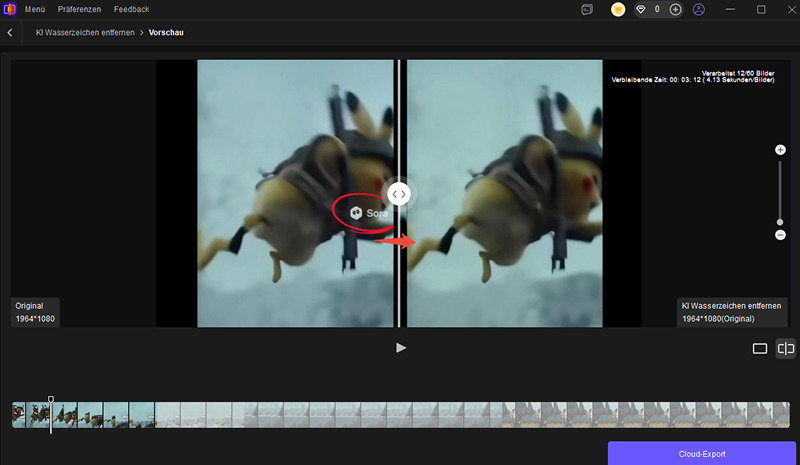sora video ohne wasserzeichen vorschauen