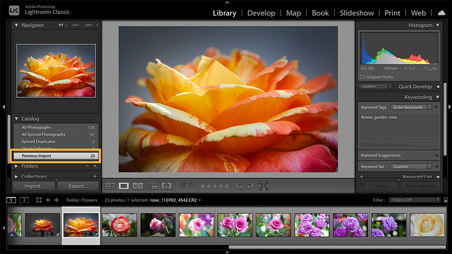 Lightroom Bildbearbeitungsprogramm