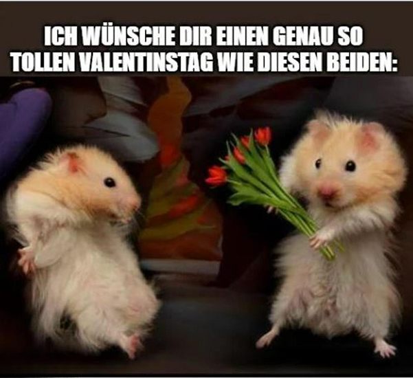 meme valentinstag​