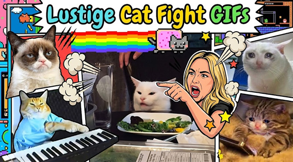 lustig cat fight gifs