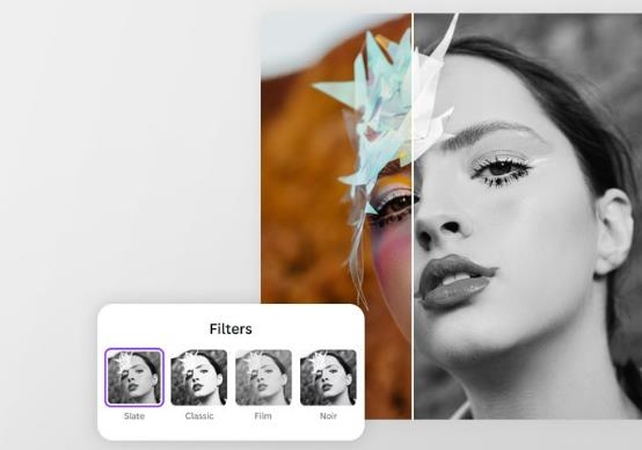 bilder in schwarz weiss mit canva umwandeln