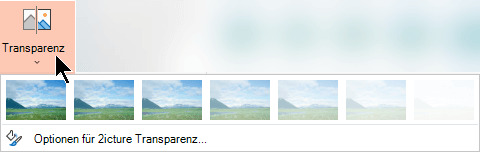 option transparenz auswählen