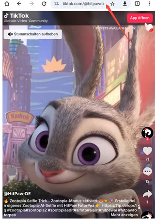 TikTok Video ohne Login direkt im Browser ansehen