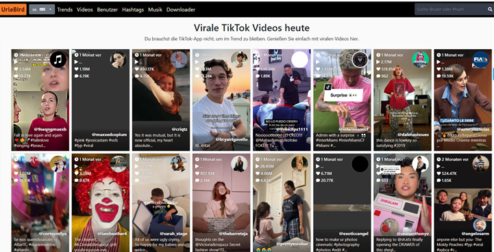 TikTok ohne Anmeldung anschauen mit Urlebird