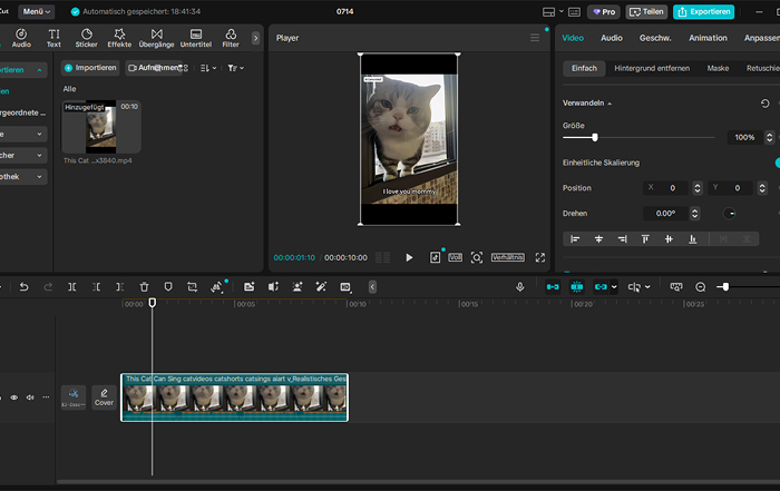 Video mit Pro-Funktionen bearbeiten